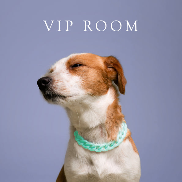 Jewelry for Dogs and Cats - VIP Room Collection - BAND OF