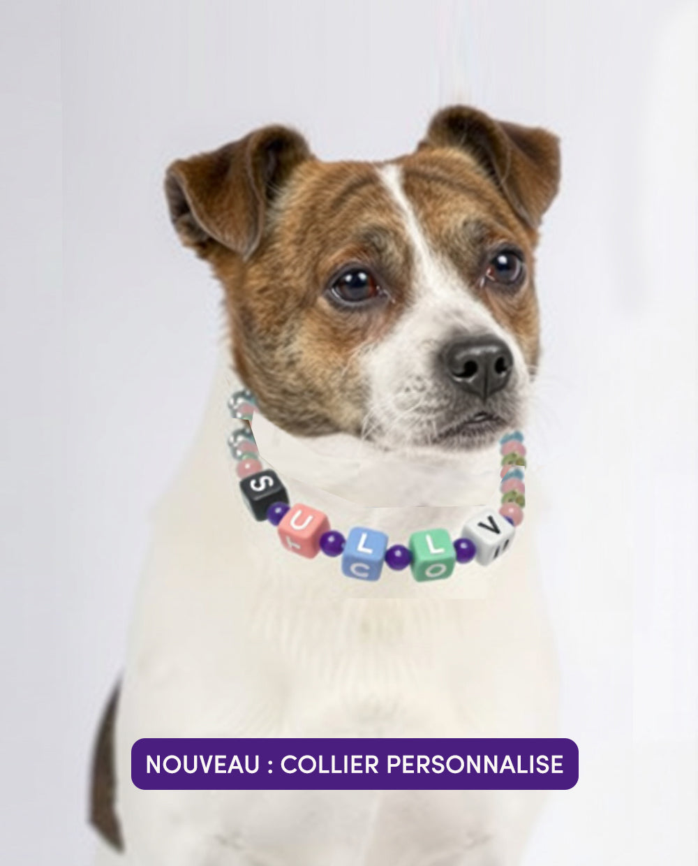 COLLIER PERSONALISABLE AVEC PIERRES DE VERTUES - QUARTZ ROSE ET AMETHYSTE