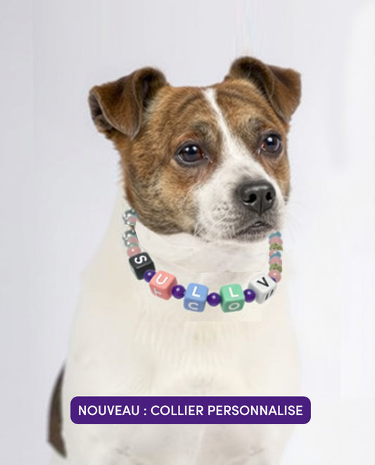 COLLIER PERSONALISABLE AVEC PIERRES DE VERTUES - QUARTZ ROSE ET AMETHYSTE