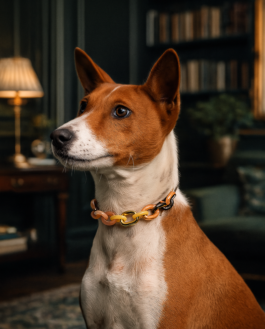 Tortoiseshell and Gold Link Collar for Dogs and Cats by BAND OF