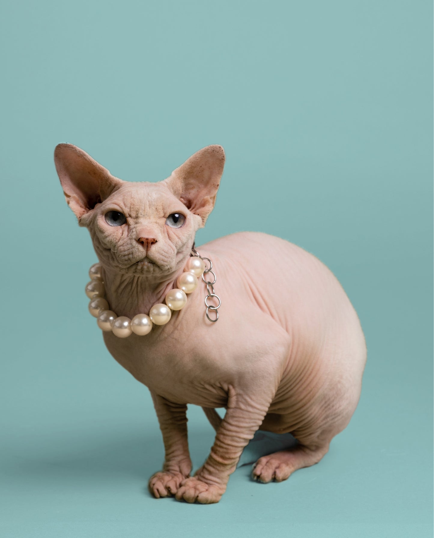 COLLIER DE GROSSES PERLES SIMPLE RANG