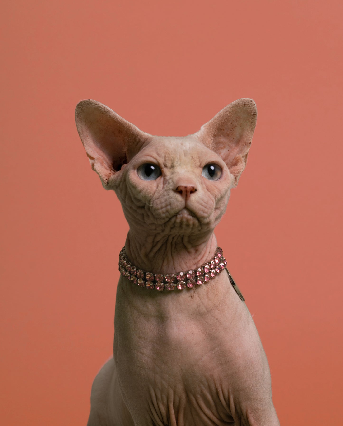 COLLIER BIJOU DIAMANT POUR CHIE