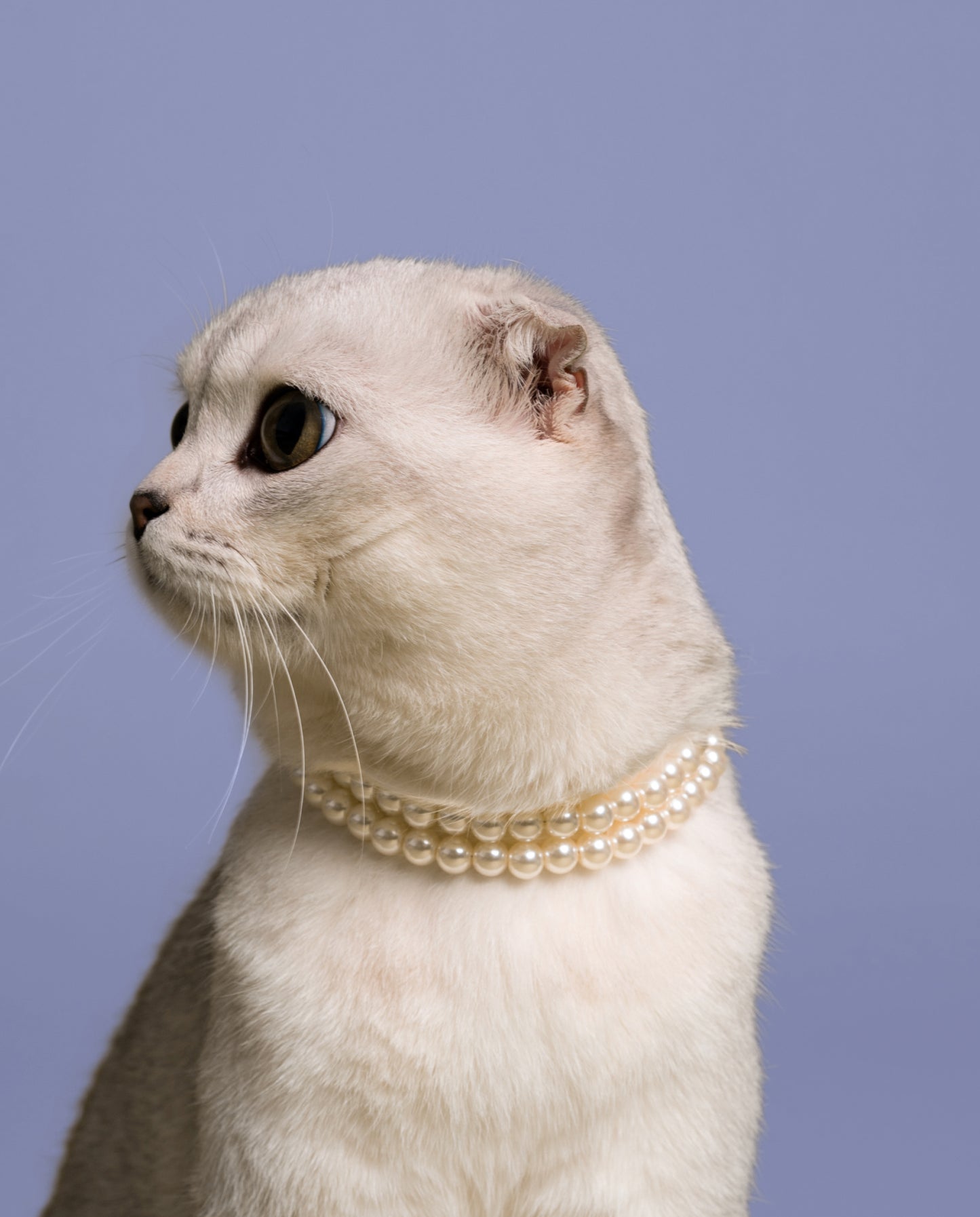 COLLIER DE PERLES DOUBLE RANG