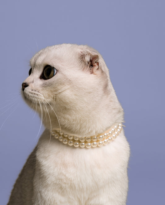 COLLIER DE PERLES DOUBLE RANG