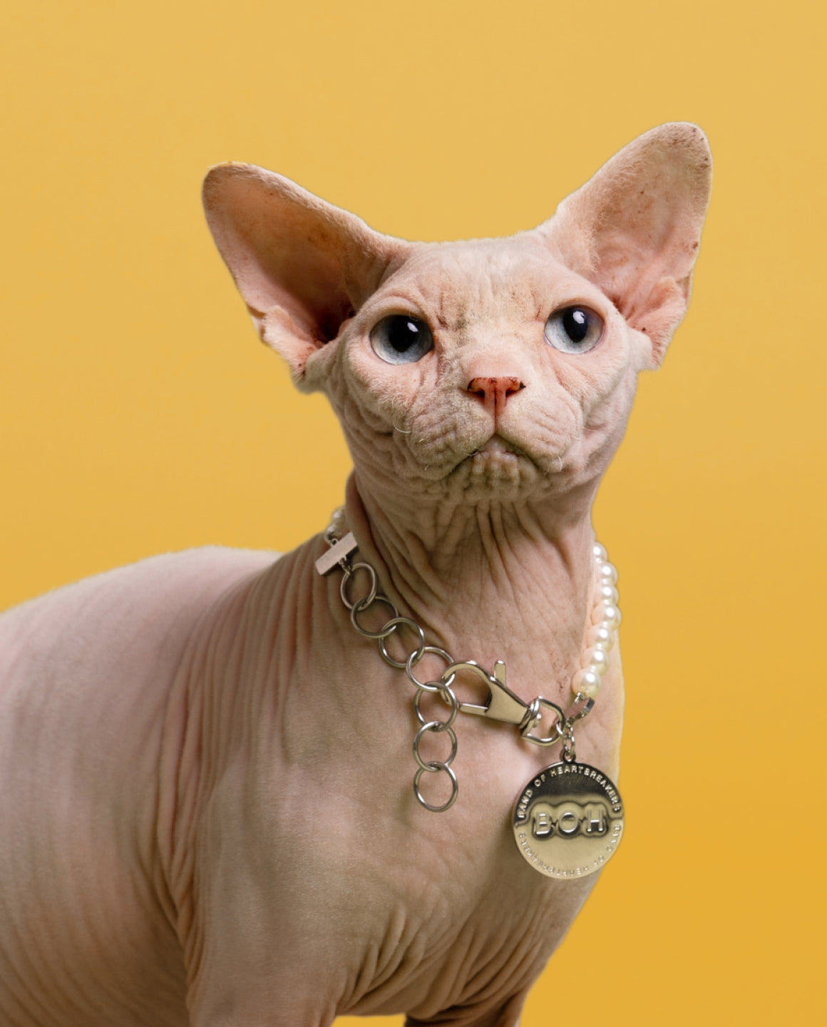 COLLIER DE PERLES SIMPLE RANG