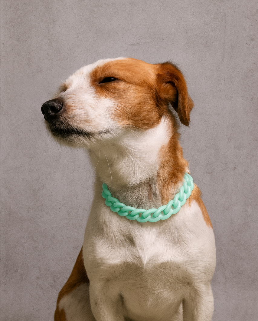 collier bijou gourmette chien